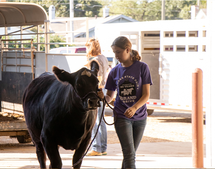 Kansas Junior Livestock Show To Remain In Hutchinson Through 2023